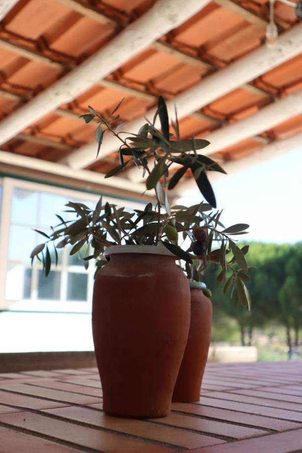 Monte Santo Villa Montargil Exterior photo